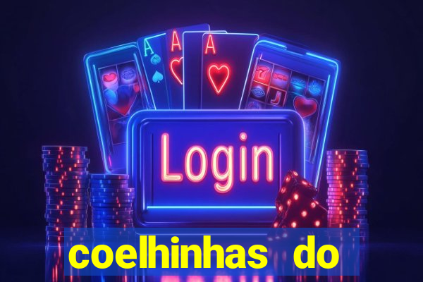 coelhinhas do brasil recife